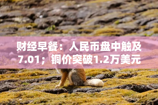 财经早餐：人民币盘中触及7.01；铜价突破1.2万美元创15年新高