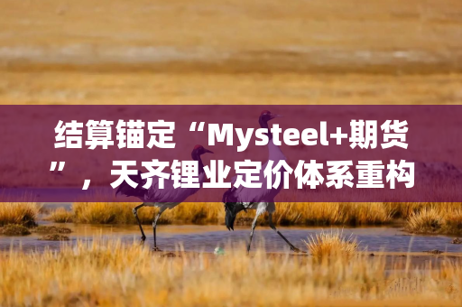 结算锚定“Mysteel+期货”，天齐锂业定价体系重构