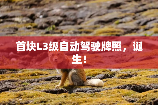 首块L3级自动驾驶牌照，诞生！