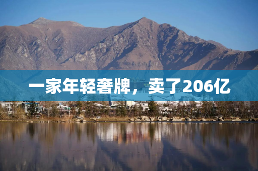 一家年轻奢牌，卖了206亿