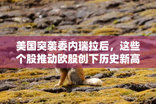 美国突袭委内瑞拉后，这些个股推动欧股创下历史新高