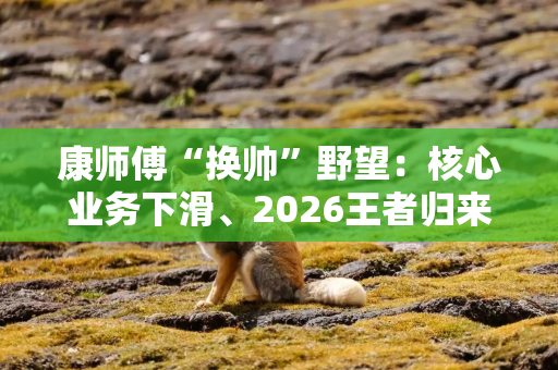 康师傅“换帅”野望:核心业务下滑、2026王者归来? 康师傅“换帅”野望:核心业务下滑、2026王者归来?