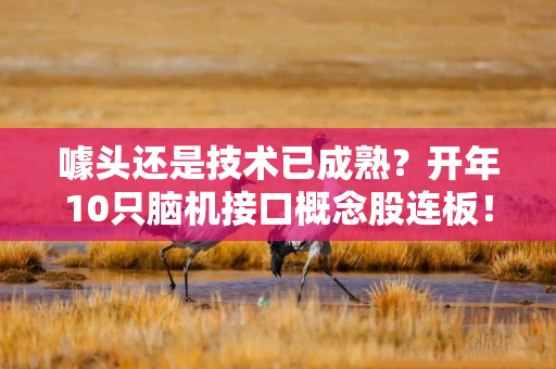 噱头还是技术已成熟？开年10只脑机接口概念股连板！专家：门槛高，部分企业或属炒作