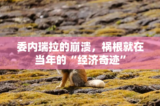 委内瑞拉的崩溃，祸根就在当年的“经济奇迹”