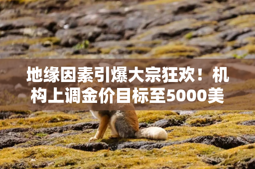 地缘因素引爆大宗狂欢！机构上调金价目标至5000美元，白银飙涨近8%，铜价再创里程碑