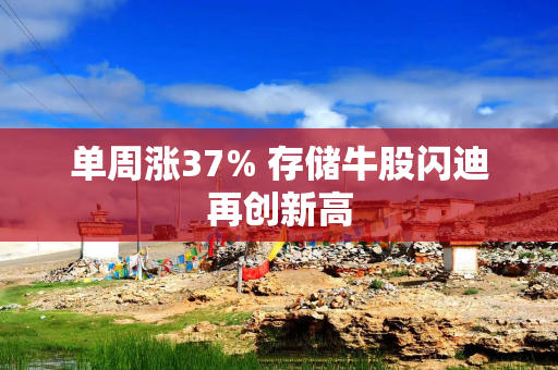 单周涨37% 存储牛股闪迪再创新高