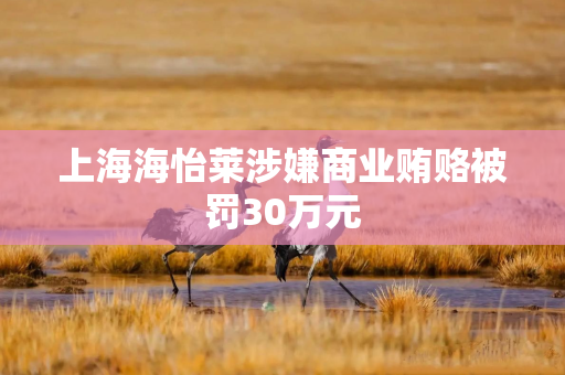 上海海怡莱涉嫌商业贿赂被罚30万元