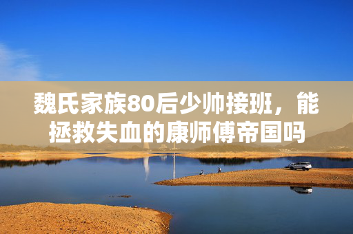魏氏家族80后少帅接班，能拯救失血的康师傅帝国吗