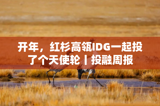 开年，红杉高瓴IDG一起投了个天使轮丨投融周报