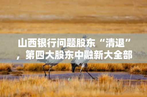 山西银行问题股东“清退”，第四大股东中融新大全部持股拍卖
