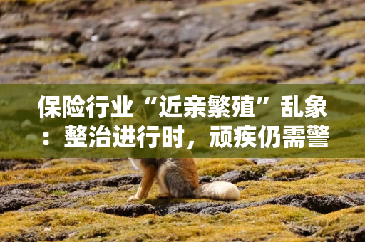 保险行业“近亲繁殖”乱象：整治进行时，顽疾仍需警惕