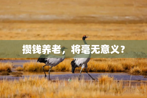 攒钱养老，将毫无意义？