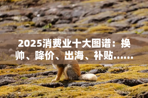 2025消费业十大图谱：换帅、降价、出海、补贴…… 在断裂处重生