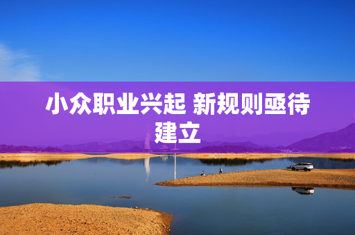 小众职业兴起 新规则亟待建立 小众职业兴起 新规则亟待建立