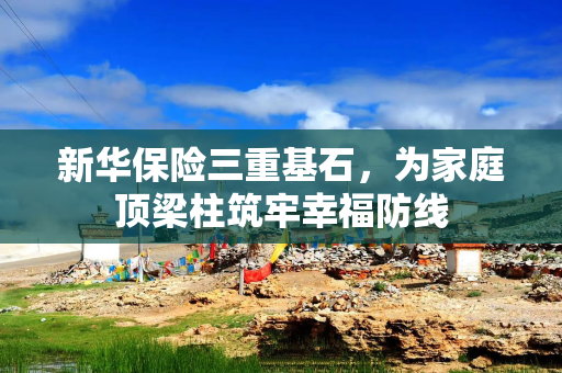 新华保险三重基石，为家庭顶梁柱筑牢幸福防线