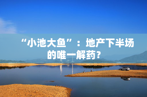 “小池大鱼”：地产下半场的唯一解药？
