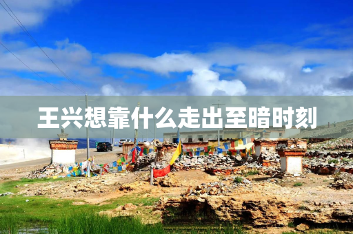 王兴想靠什么走出至暗时刻