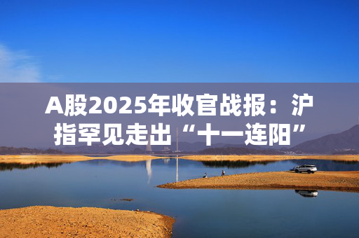 A股2025年收官战报：沪指罕见走出“十一连阳”