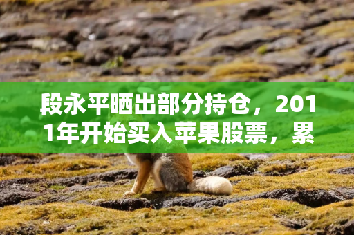 段永平晒出部分持仓，2011年开始买入苹果股票，累计收益率超16倍