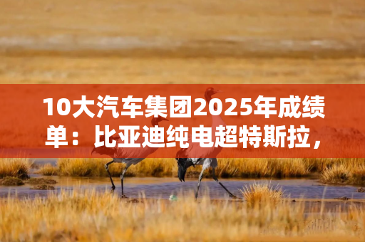 10大汽车集团2025年成绩单：比亚迪纯电超特斯拉，4家车企年销破300万辆