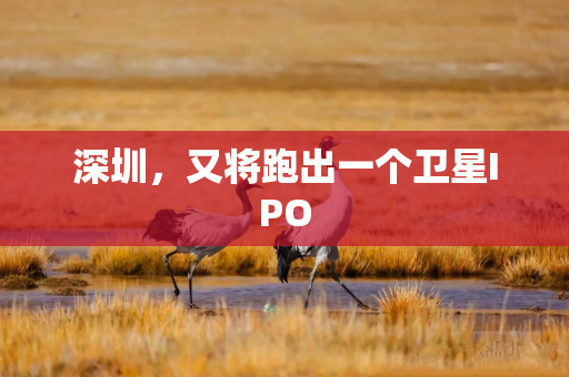 深圳，又将跑出一个卫星IPO