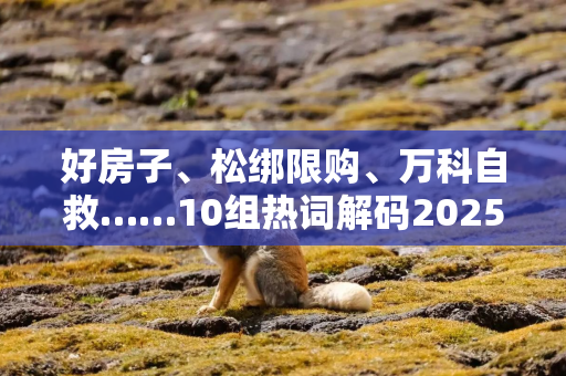 好房子、松绑限购、万科自救……10组热词解码2025楼市真相