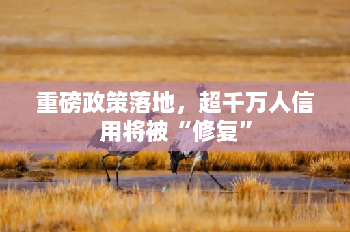 重磅政策落地，超千万人信用将被“修复”