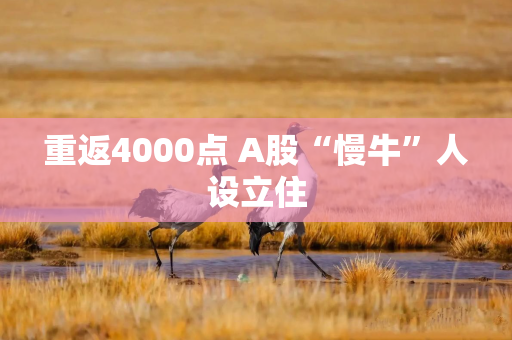 重返4000点 A股“慢牛”人设立住