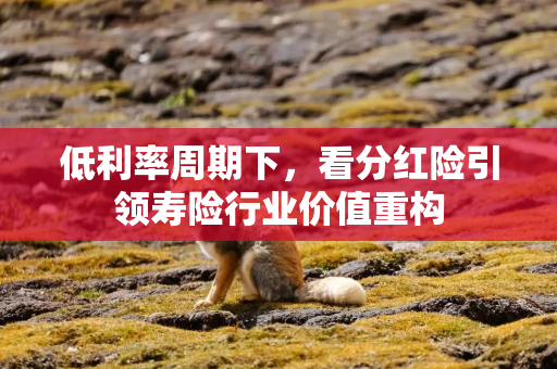 低利率周期下，看分红险引领寿险行业价值重构