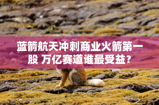 蓝箭航天冲刺商业火箭第一股 万亿赛道谁最受益？