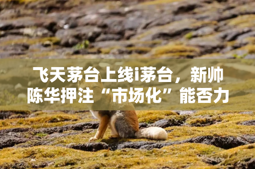 飞天茅台上线i茅台，新帅陈华押注“市场化”能否力挽狂澜？