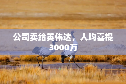 公司卖给英伟达，人均喜提3000万