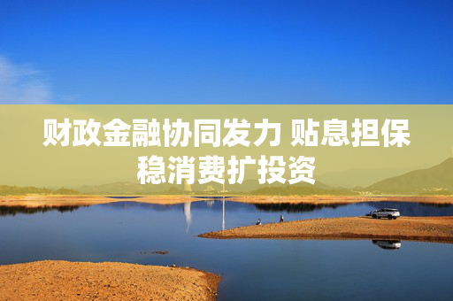 财政金融协同发力 贴息担保稳消费扩投资