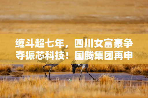 缠斗超七年，四川女富豪争夺振芯科技！国腾集团再申请召开临时股东会