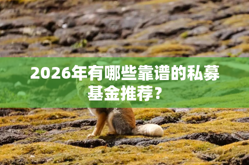 2026年有哪些靠谱的私募基金推荐？