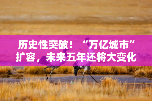 历史性突破！“万亿城市”扩容，未来五年还将大变化