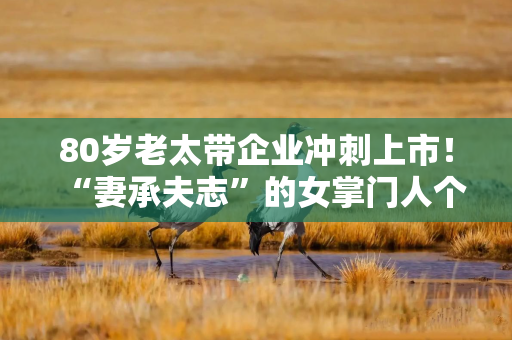 80岁老太带企业冲刺上市！“妻承夫志”的女掌门人个个都是狠角色