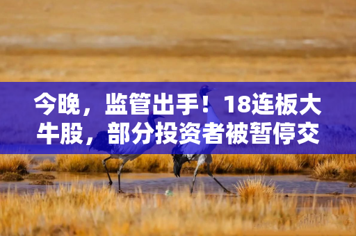 今晚，监管出手！18连板大牛股，部分投资者被暂停交易！多只热门股，突发公告！