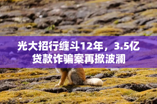 光大招行缠斗12年，3.5亿贷款诈骗案再掀波澜