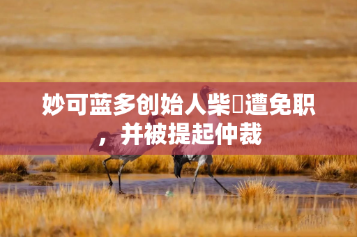 妙可蓝多创始人柴琇遭免职，并被提起仲裁