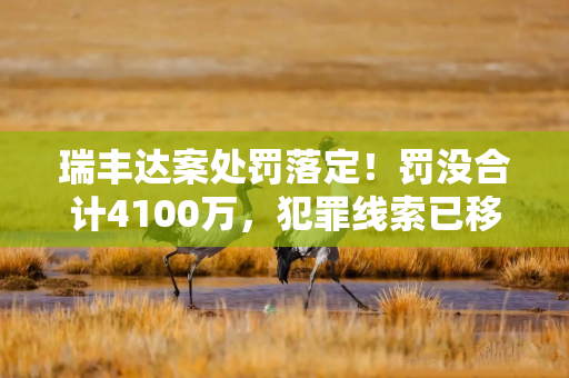 瑞丰达案处罚落定！罚没合计4100万，犯罪线索已移送公安