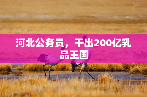 河北公务员，干出200亿乳品王国