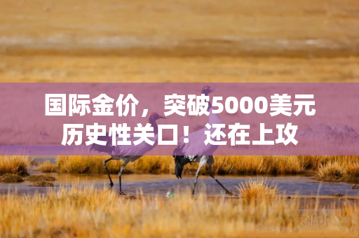 国际金价，突破5000美元历史性关口！还在上攻