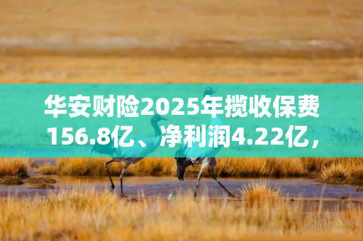 华安财险2025年揽收保费156.8亿、净利润4.22亿，四季度被罚273万元