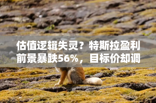 估值逻辑失灵？特斯拉盈利前景暴跌56%，目标价却调升至410美元