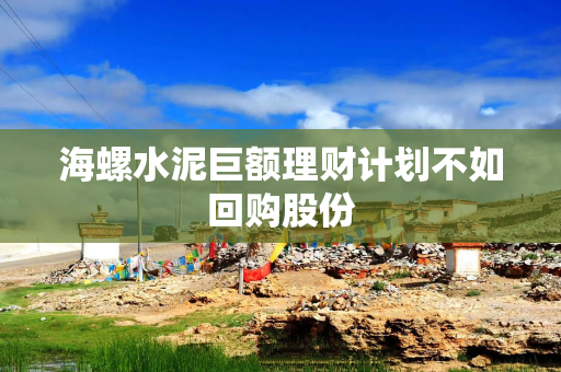 海螺水泥巨额理财计划不如回购股份