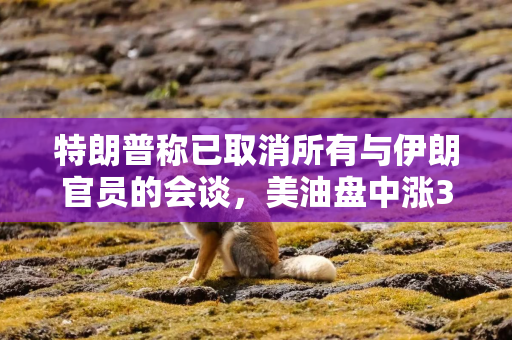 特朗普称已取消所有与伊朗官员的会谈，美油盘中涨3%