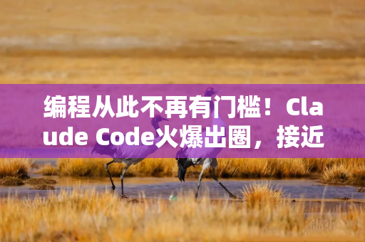 编程从此不再有门槛！Claude Code火爆出圈，接近“ChatGPT的横空出世”