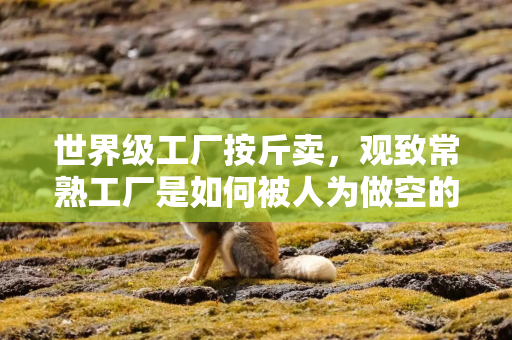 世界级工厂按斤卖，观致常熟工厂是如何被人为做空的