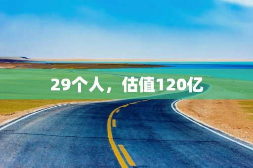 29个人，估值120亿